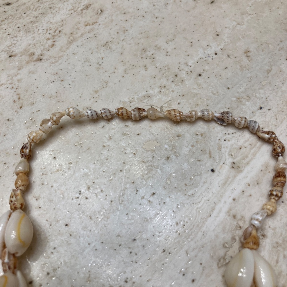 Sea Shell Necklace - Picture 2 of 3